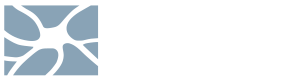 FND Boston Mobile Retina Logo